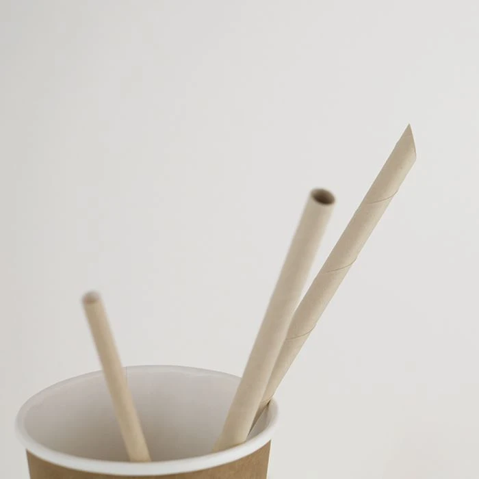 Biodegradable sharp straight paper straws in detail.jpg Biodegradable sharp straight paper straws in detail.jpg