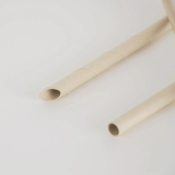 Biodegradable sharp straight paper straws in details